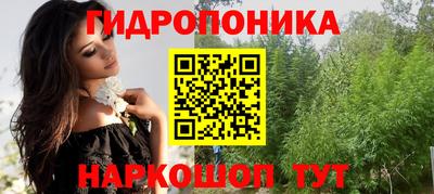 ALPHA PVP Гай