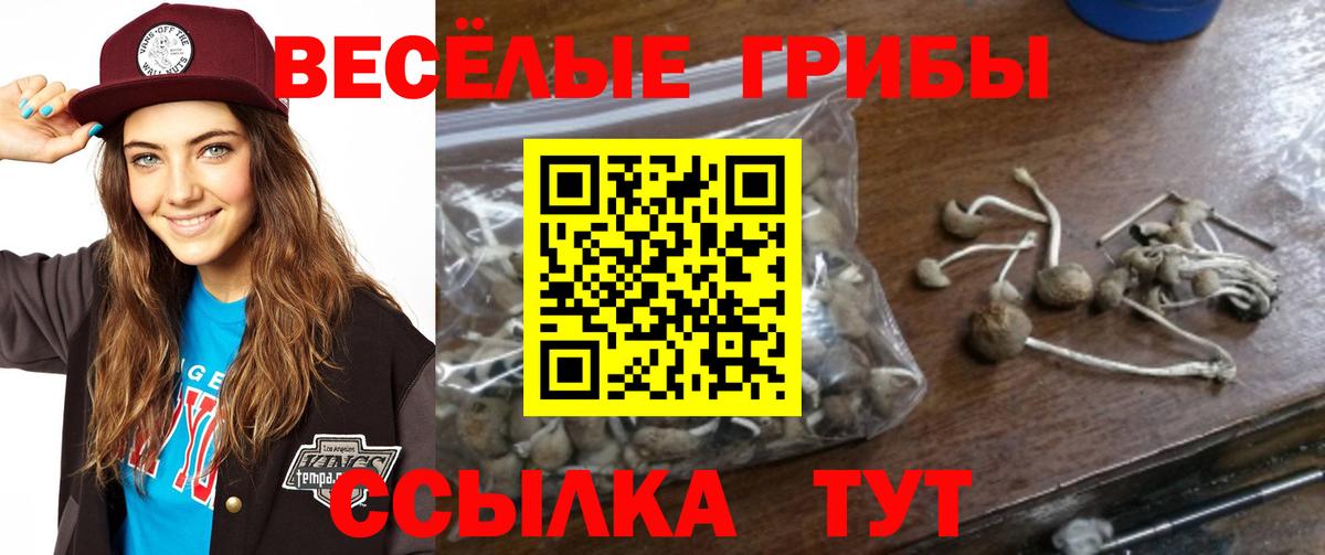 Галлюциногенные грибы Magic Shrooms Заречный